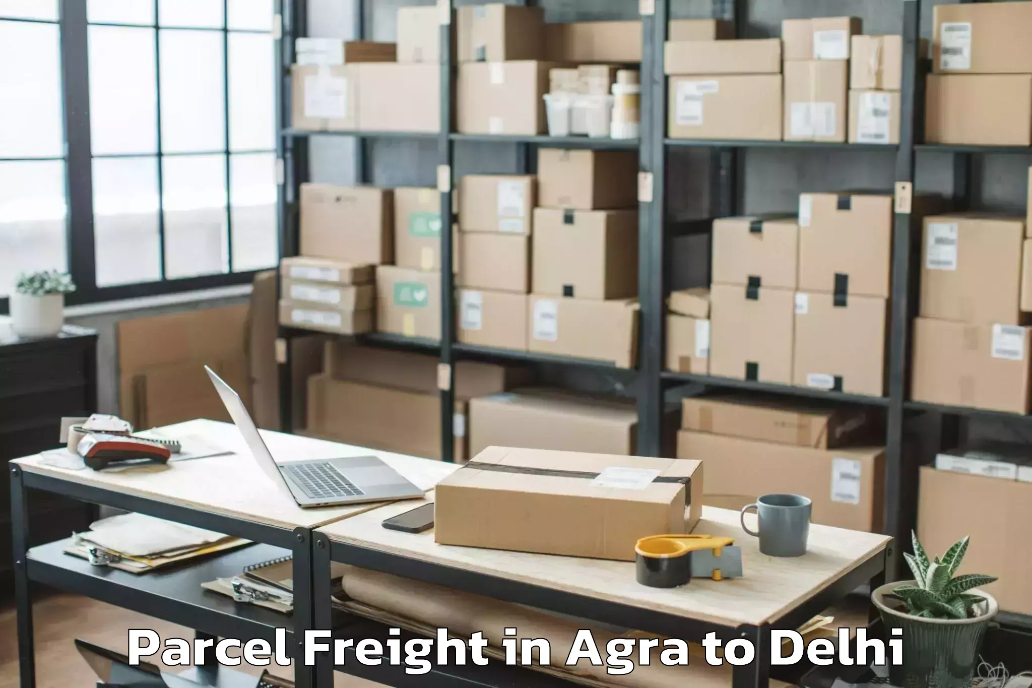 Easy Agra to Unity One Mall Janakpuri Parcel Freight Booking